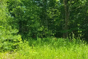 477 Hadley Mill Rd, Jackson, ME 04921 - Photo 32