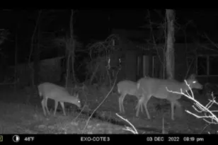 608 Adams Rd, Waterville, ME 04938 - Photo 44
