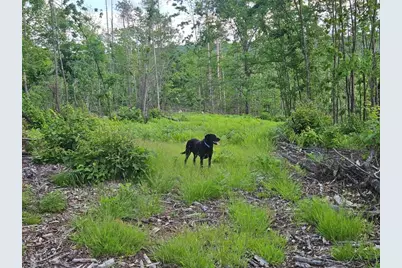Multiple Quaker Ridge Road, Leeds, ME 04263 - Photo 48