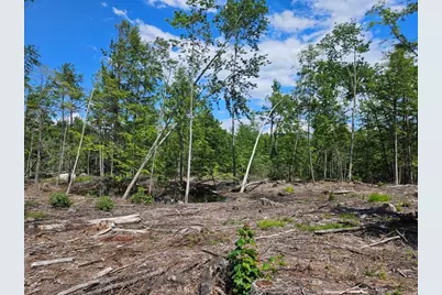 Multiple Quaker Ridge Road, Leeds, ME 04263 - Photo 46