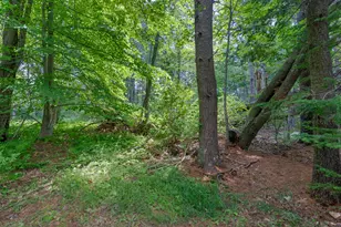 Lot 1 12 Wallace St, Kennebunk, ME 04043 - Photo 66