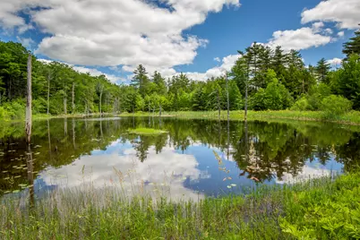 169 Patrick Mountain Lane, Washington, ME 04574 - Photo 2