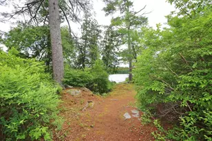 769 Green Lake Rd, Dedham, ME 04429 - Photo 50