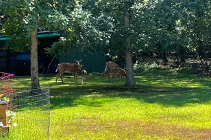 355 Abbott Mountain Rd, Shapleigh, ME 04076 - Photo 2