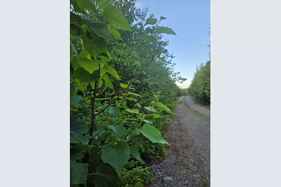 27B6/17/24 Dixie Rd, Lubec, ME 04652 - Photo 2