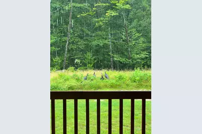 60 North Road, Limington, ME 04049 - Photo 32