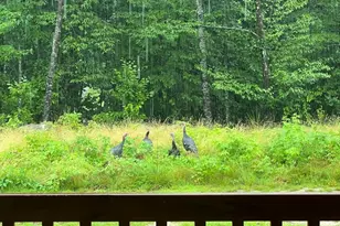 60 N Rd, Limington, ME 04049 - Photo 32
