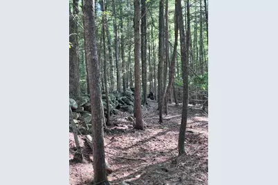 Lot #22 Streaked Mountain Road, Buckfield, ME 04220 - Photo 2