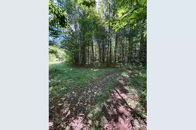 Lot #22 Streaked Mountain Road, Buckfield, ME 04220 - Photo 12