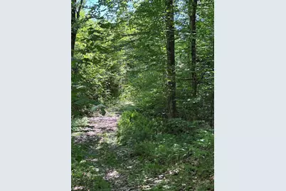 Lot #22 Streaked Mountain Road, Buckfield, ME 04220 - Photo 10