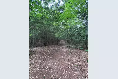 Lot #22 Streaked Mountain Road, Buckfield, ME 04220 - Photo 14