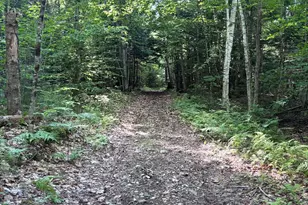 Lot #22 Streaked Mountain Rd, Buckfield, ME 04220 - Photo 1