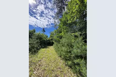 Lot #22 Streaked Mountain Road, Buckfield, ME 04220 - Photo 8
