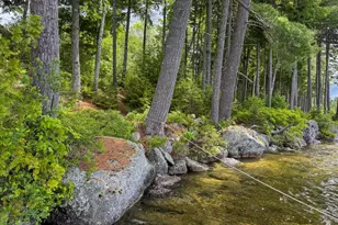 123 Eagle Point Rd, Lamoine, ME 04418 - Photo 6