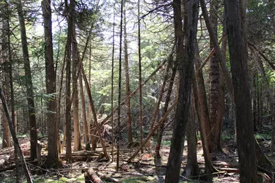 0 Mariaville Road, Mariaville, ME 04605 - Photo 2