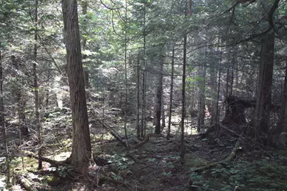 0 Mariaville Road, Mariaville, ME 04605 - Photo 14