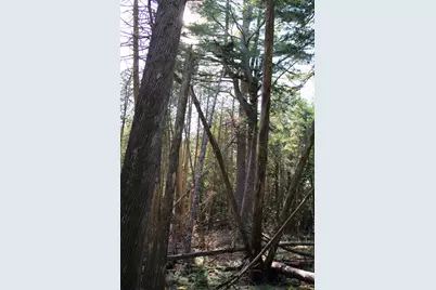 0 Mariaville Road, Mariaville, ME 04605 - Photo 10