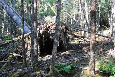 0 Mariaville Road, Mariaville, ME 04605 - Photo 12