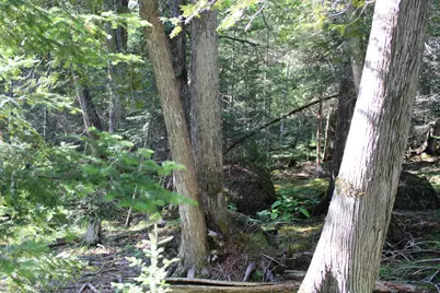 0 Mariaville Road, Mariaville, ME 04605 - Photo 16