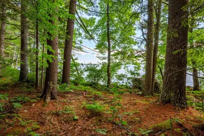 Lot 17-1 Provost Road, Jefferson, ME 04348 - Photo 8