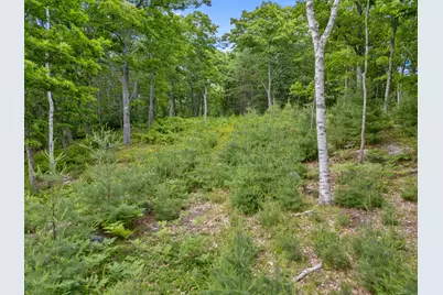 Lot 16 Captain John Parker Road, Phippsburg, ME 04562 - Photo 24