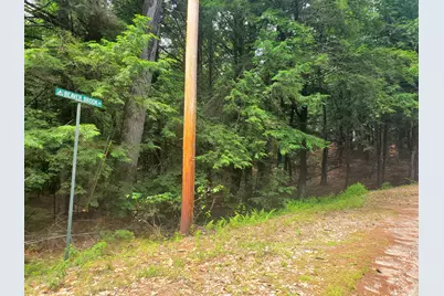 Lot #36 Beaver Brook Road, Limerick, ME 04048 - Photo 6