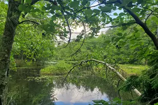 Lot #36 Beaver Brook Rd, Limerick, ME 04048 - Photo 1
