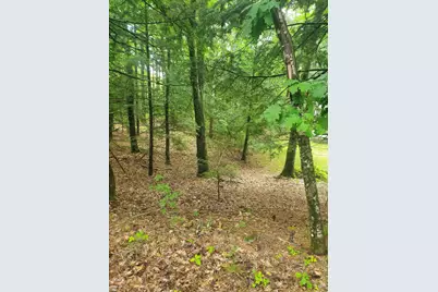 Lot #36 Beaver Brook Road, Limerick, ME 04048 - Photo 16