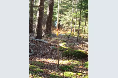 M26, L5 Deep Cove Lane, Islesboro, ME 04848 - Photo 22