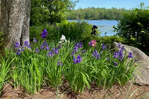 37 Moose Pond Dr, Bridgton, ME 04009 - Photo 118