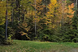 10 Otter Slide Rd, Greenville, ME 04441 - Photo 40