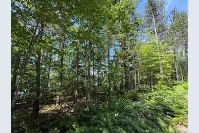 Lot 5 & 10 Charlotte Road, Charlotte, ME 04666 - Photo 20
