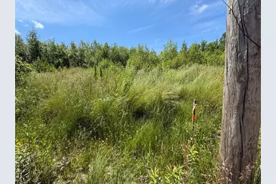 Map10Lotp 214, Meddybemps, ME 04657 - Photo 6