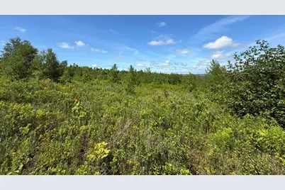 Map10Lotp 214, Meddybemps, ME 04657 - Photo 16
