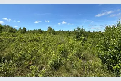 Map10Lotp 214, Meddybemps, ME 04657 - Photo 10