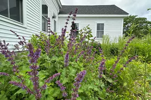 441 Main St, Thomaston, ME 04861 - Photo 64