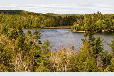 Map 12 Lot #7-A, Whiting, ME 04691 - Photo 1