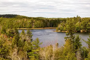 Map 12 Lot, Whiting, ME 04691 - Photo 1