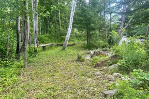 17 Goodwin Rd, Carthage, ME 04224 - Photo 12