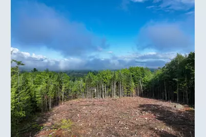 0 Old Country Trail, Dixfield, ME 04224 - Photo 12