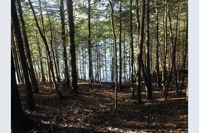 117 Union Falls Road, Buxton, ME 04093 - Photo 8