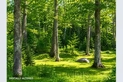 201 Mast Hill Road, Bucksport, ME 04416 - Photo 28