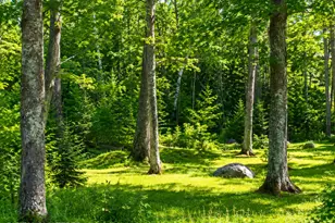 201 Mast Hill Rd, Bucksport, ME 04416 - Photo 28