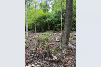 M1L112 Cove/Bear Brook Road, Sebec, ME 04481 - Photo 8
