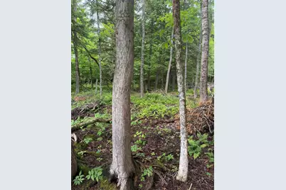 M1L112 Cove/Bear Brook Road, Sebec, ME 04481 - Photo 4