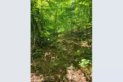 477 Hadley Mill Road, Jackson, ME 04921 - Photo 24