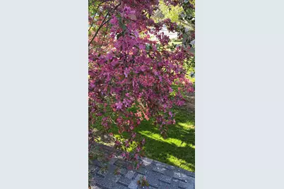 66 Howard Street, Bangor, ME 04401 - Photo 8