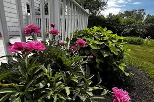 66 Howard St, Bangor, ME 04401 - Photo 20