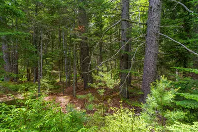 205 Steves Road, Boothbay, ME 04537 - Photo 10