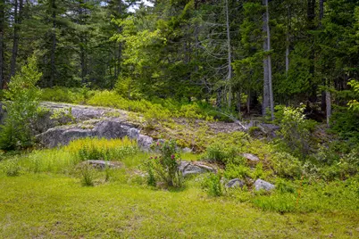 482 West Bay Road, Gouldsboro, ME 04607 - Photo 4